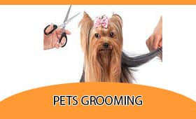 Pet Grooming